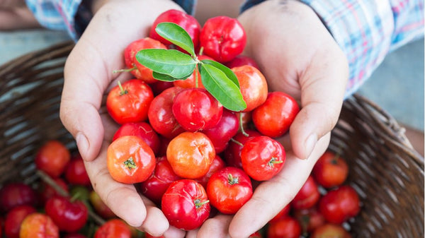 Acerola-Kirsche im Fokus: Das Superfood für deine tägliche Vitaminzufuhr