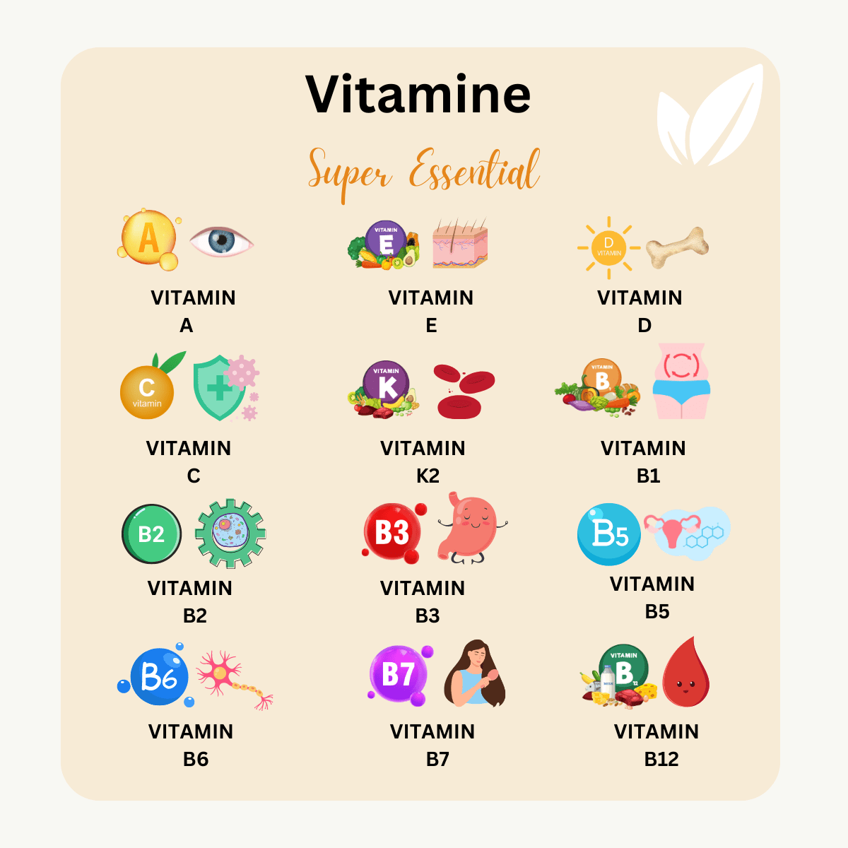 Super ESSENTIAL - 240g pro Dose - Vitamine, Mineralien & Spurenelemente - Holistic Heroes GmbH