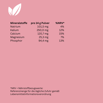 Super AMINO - 420g pro Dose - Aminosäuren & Elektrolyte - Holistic Heroes GmbH